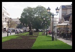 Novi Sad -22-10-2013 - Bogdan Balaban